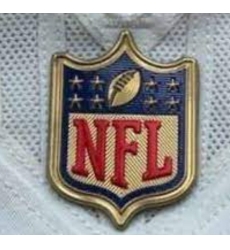 Youth Houston Texans Gold NFL Logo Patch Biaog