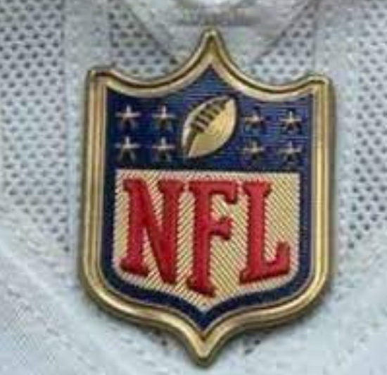 Youth Tampa Bay Buccaneers Gold NFL Logo Patch Biaog